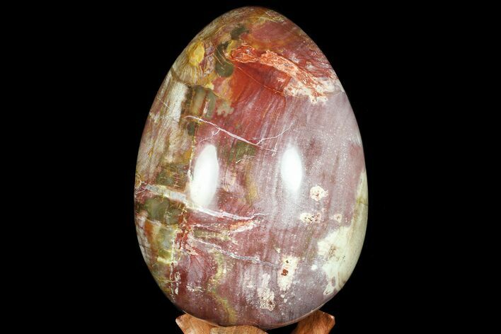 Polished Petrified Wood Egg - Rich Red Color #67756